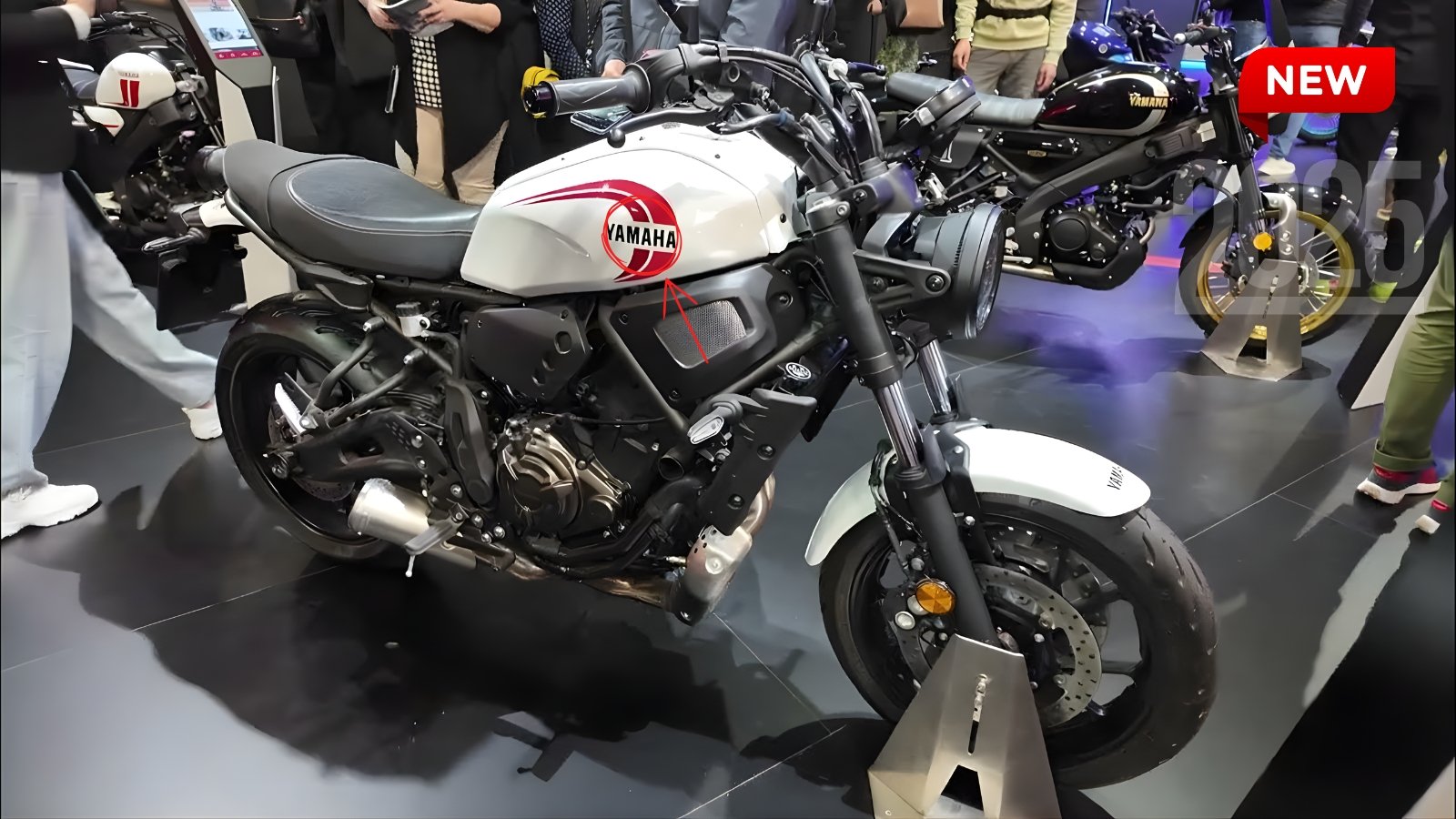 Yamaha XSR700 2025